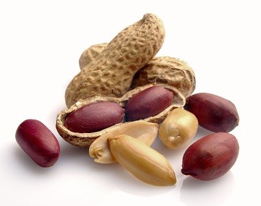 تصویر 5 از قیمت خرید بادام زمینی شور + فروش ویژه